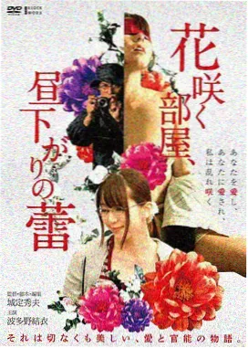 建筑学概论 电影海报